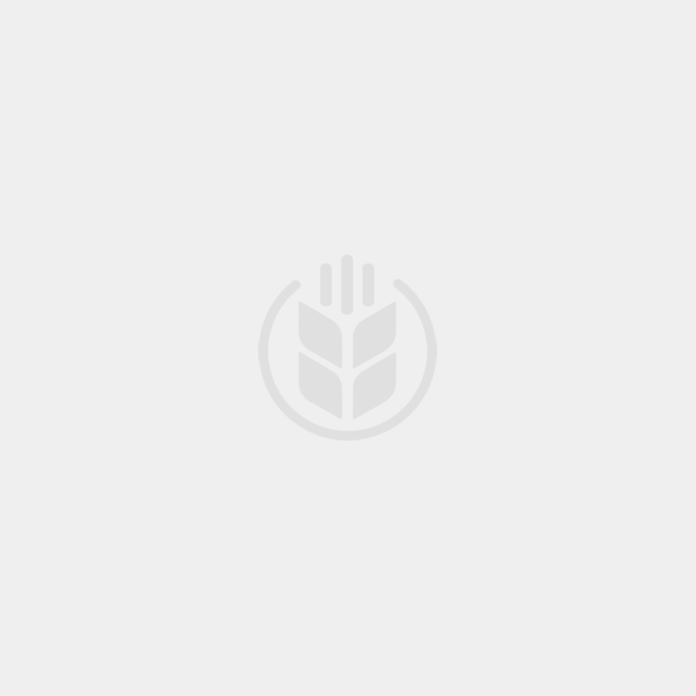 CRIPTON - Prothioconazole 17.5% + Trifloxistrobin 15% | 20 lts